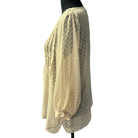 Sophie Max Sheer Swiss Dot Crew Neck 3/4 Sleeve Pin Tuck Tunic, Size M - Picture 3 of 8